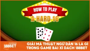 dằn 16 là gì