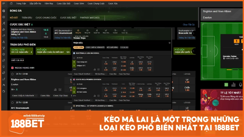 Kèo Mã Lai là một trong những loại kèo phổ biến nhất tại 188BET